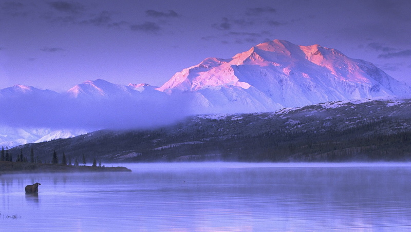 mountains, landscape, 720P, moose, lake, snow, sunset, cold, nature, mist, Alaska