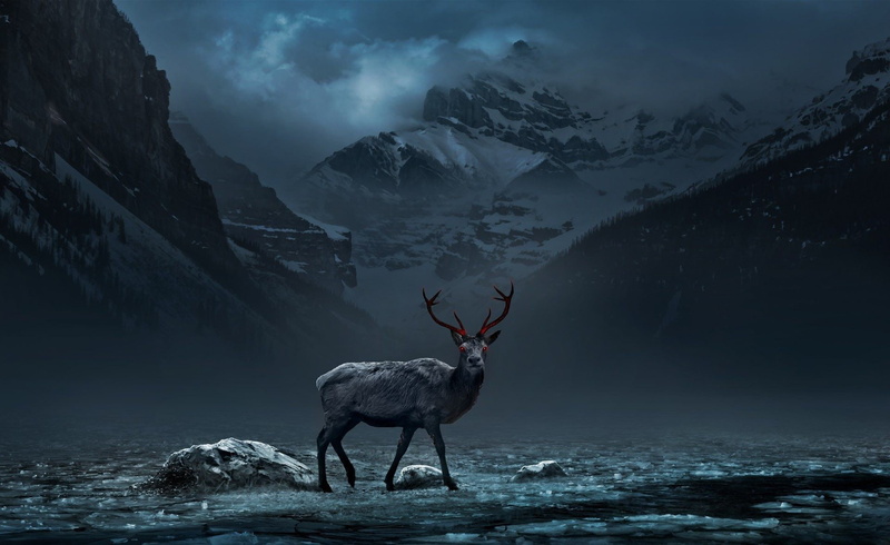animal wildlife, herbivorous, deer, animals in the wild, outdoors, animal, 1080P, red eyes nature animals deer mountains digital art trees forest clouds night