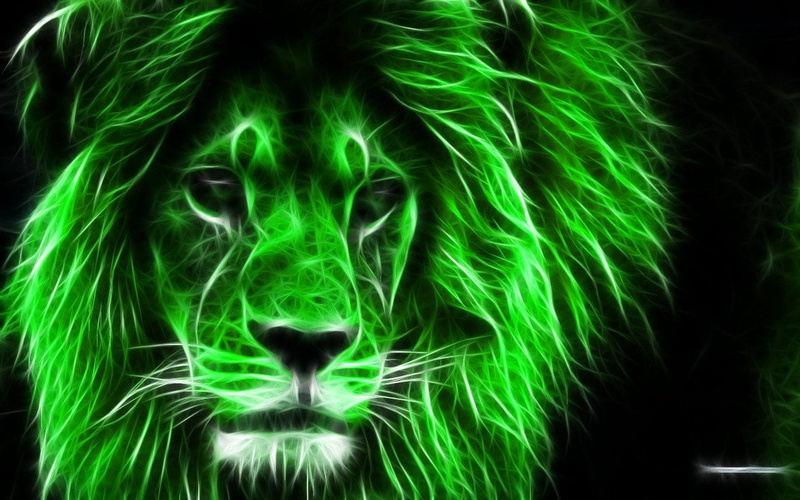 black background, looking at camera, domestic animals, pets, whisker, animal body part, nature, Lion, 720P, close-up, one animal, mammal, graphics, front view