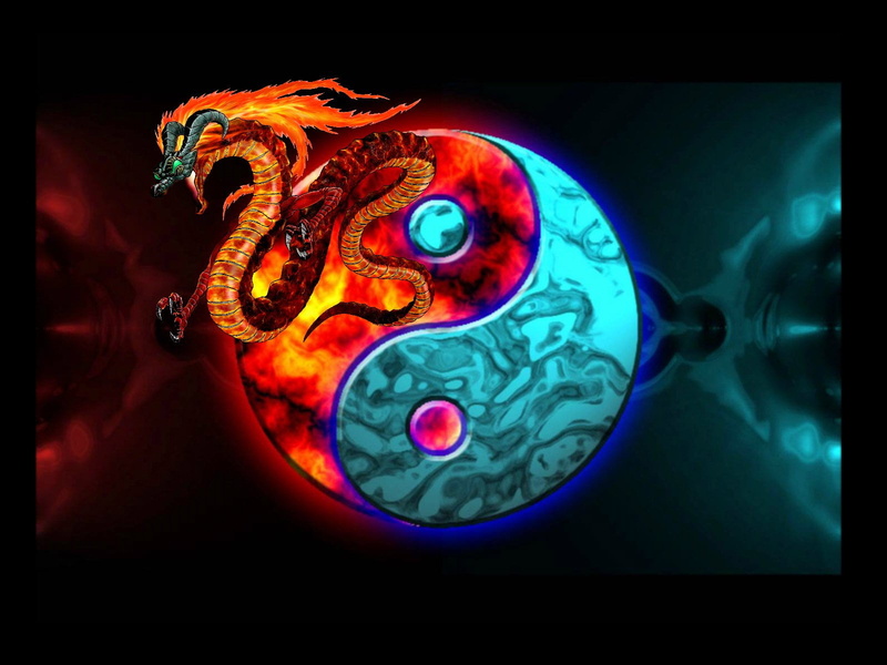 representation, black background, animal representation, animal wildlife, futuristic, tomography, multi colored, no people, nature, blue, Yin and Yang