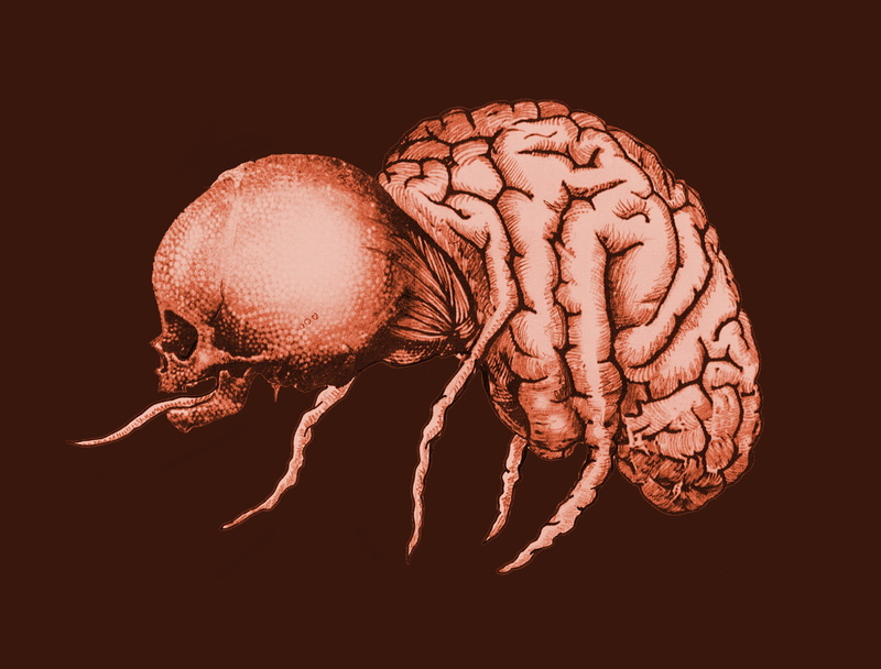 anatomy, healthcare and medicine, bone, artwork, 2K, art, horror, science, body part, representation, tomography, Evil, mri scan, indoors, human brain