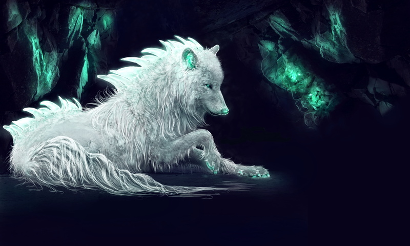 Arctic wolf, Digital art, 4K, 4K, Fantasy, White wolf