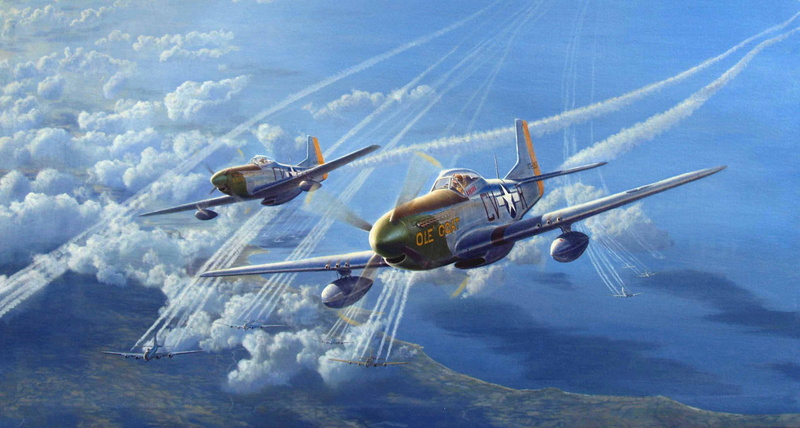 2K, north american p 51 mustang