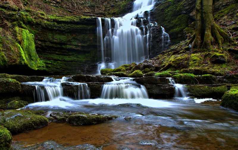 falls, England, force, dales, scaleber, Scaleber Force, water, waterfall, cascade, North Yorkshire, yorkshire, 1080P, Yorkshire Dales