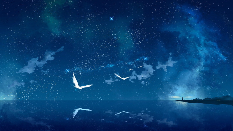 no people, water, stars, night, nature, flying, galaxy, digital composite, birds, star - space, blue, infinity, astronomy, star field, white