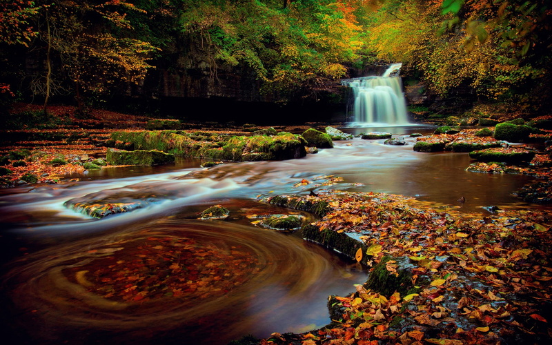 Yorkshire, Autumn, Northern, Waterfall, Foliage, Forest, Water, 1080P, England