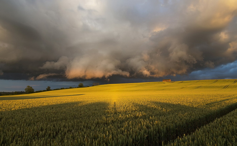 yorkshire, summer, sky, green, north, England, July, farm, 1080P, clouds, field, United Kingdom, sunshine, evening, kingdom, united, before the storm