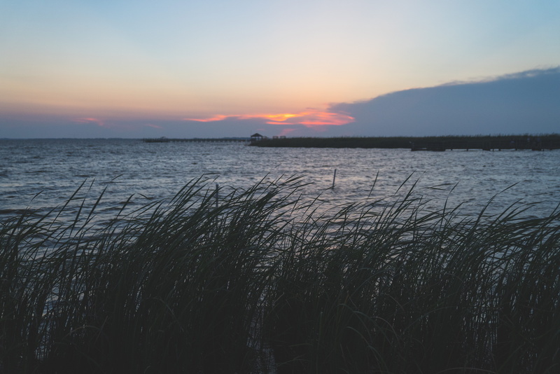 obx, reeds, united states, nature, idyllic, sunset, reflection, outer banks, marsh, club, bay, non-urban scene, tranquility, water, sky, scenics - nature