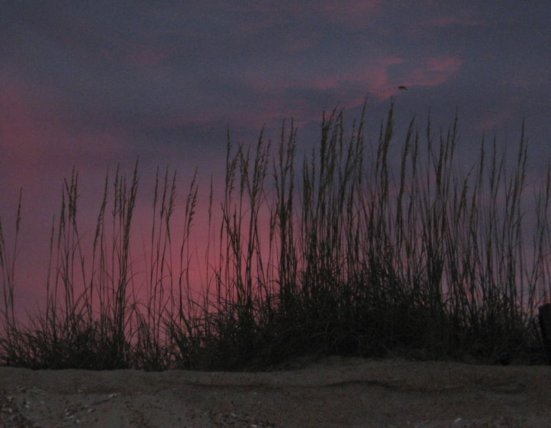 north carolina, outer banks, grass, 1080P, ocean, beach, nags head, 3d and abstract, sand, sunset