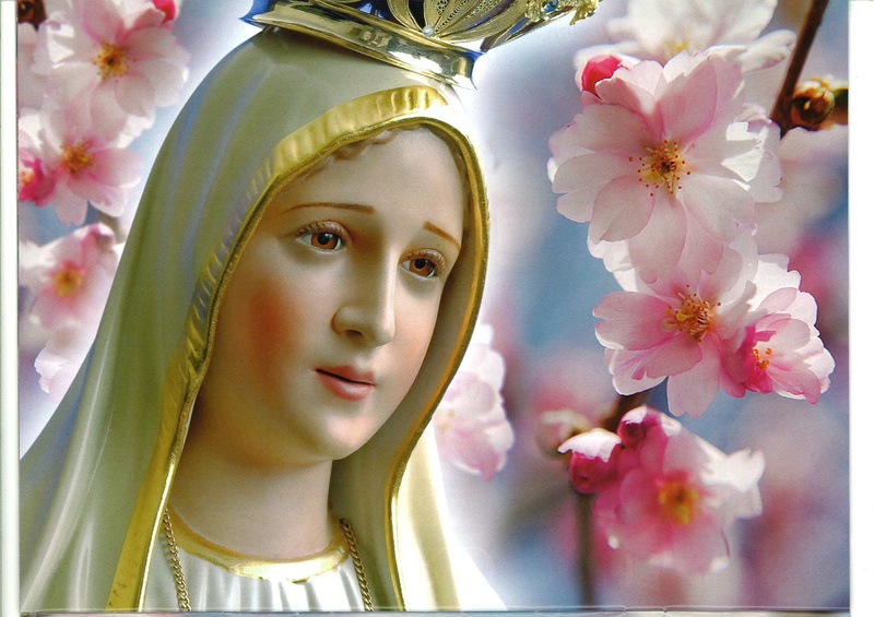 portrait, close-up, cherry blossom, Jesus, plant, Mary (Mother of Jesus), Religious, freshness, 1080P, flowering plant, nature, beauty, real people, indoors