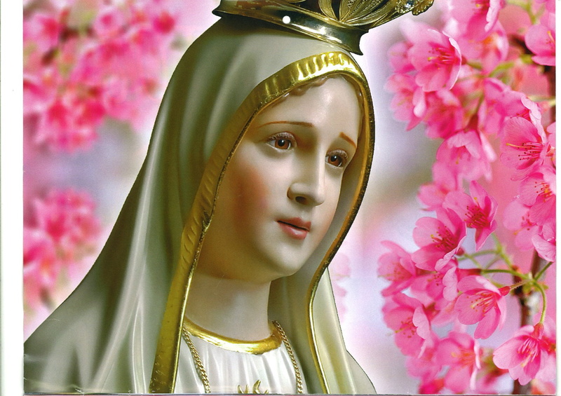 belief, 1080P, Mary (Mother of Jesus), Nossa Senhora De Fatima, plant, beauty in nature, Mary, statue, religion, human representation, sculpture, no people