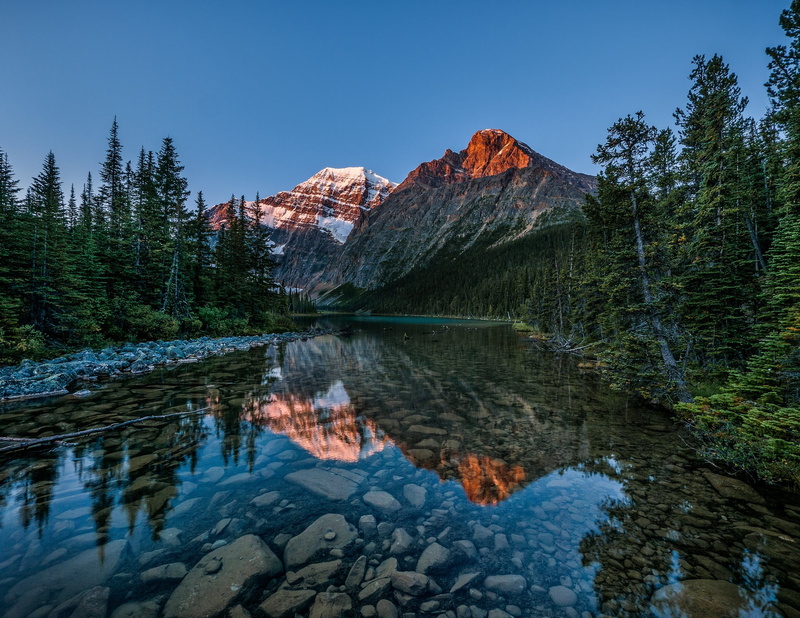 1080P, pine trees, Jasper National Park, Alberta, landscape