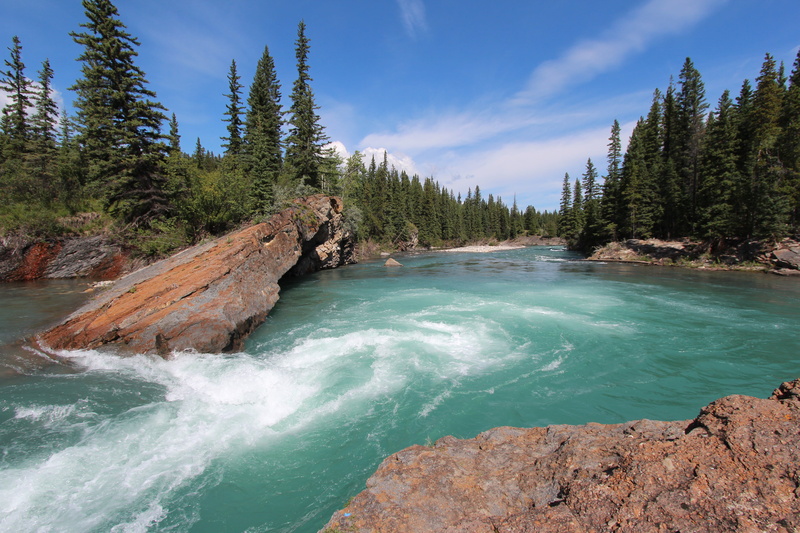 forest, Kananaskis country, widow maker, river, pine trees, Alberta, water, daytime, pine, trees, Canada, nature, stream, scenics, Kananaskis  country