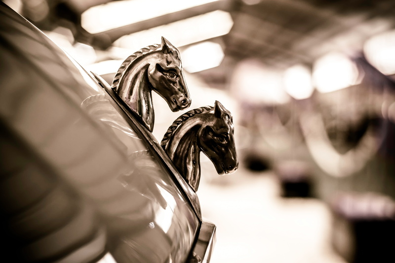 citroen 2cv, metal, mascot, monochrome, art and craft, one animal, citron, animal body part, luxury, citron 2cv, car, animal wildlife, emblem, automobile