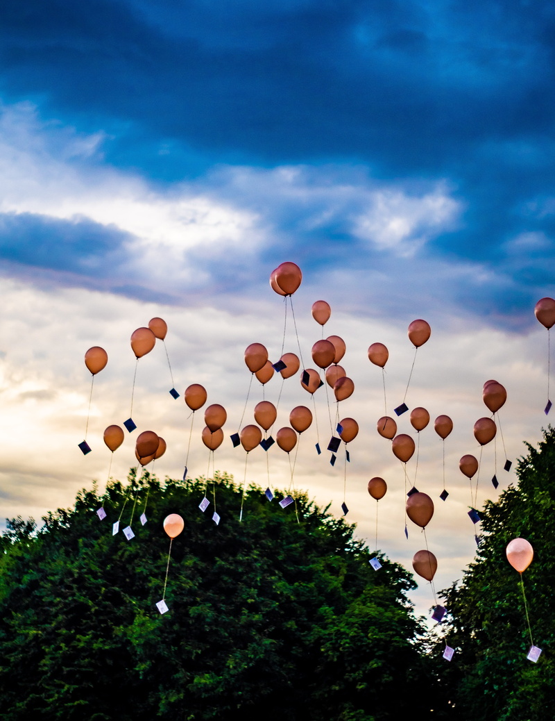 plant, hanging, day, leave blank, fortlassen, ade, cloud - sky, birthday party, sky, upgrade, 4K, windy, no people, large group of objects, goodbye, celebration