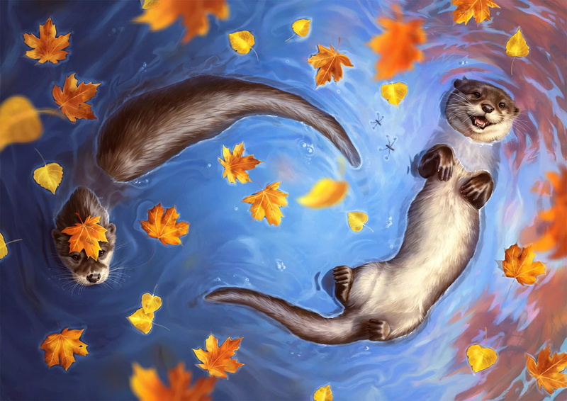Autumn, Johanna Tarkela, Water, Pond, Otters, The view from the top, Lake, Otter, 2K, River, Leaves, Colour Splash, by Johanna Tarkela