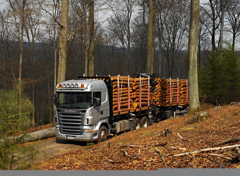 woodland, commercial Land Vehicle, Scania R470, mode of transportation, driving, mode of Transport, scania, nature, bare tree, field, road, transportation