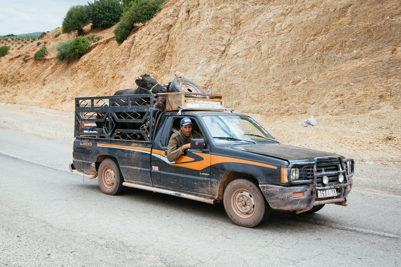 travel, africa, mode of transportation, road, transport, land, motion, day, motor vehicle, car, 2K, transportation, black, nature, morocco, land vehicle