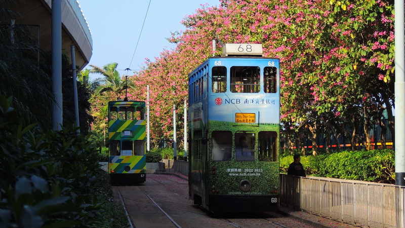 text, tramcar, hongkong, downtown, railway, day, tourism, hk, hong-kong, architecture, building exterior, urban, asia, tramline, transportation, communication