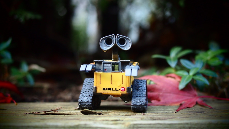 4K, funny, snowplow, motor vehicle, tractor, design, business, summer, wheeled vehicle, color