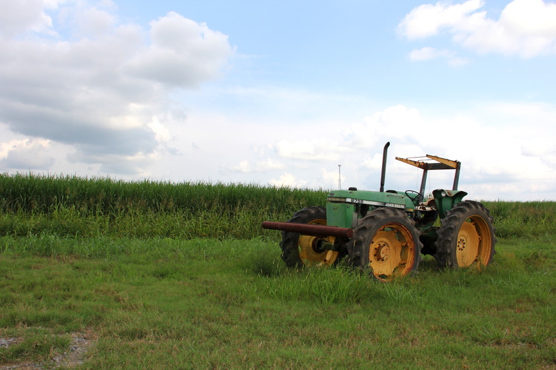 machinery, farm, wheat, farming, cultivation, machine, plowing, agricultural equipment, plow, tractor, plant, farmer, equipment, crop, green, transportation