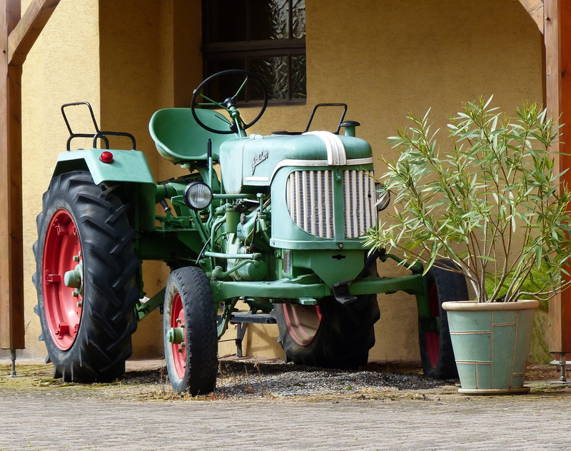 transportation, Tractor, wheel, 2K, gardening equipment, wall - building feature, outdoors, green, gardening, tire, container, old, oleander, working machine
