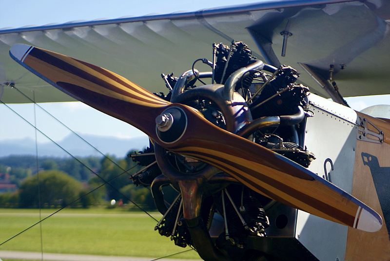 plant, creativity, luxury, nature, aircraft, air vehicle, aviation, plane, fly, drive, engine, day, shadow, built structure, outdoors, close-up, 4K, propeller