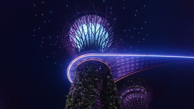 skyscraper, space, built structure, night, blue, no people, trees, connection, city, low angle view, illuminated, arch, outdoors, travel, singapore, building exterior