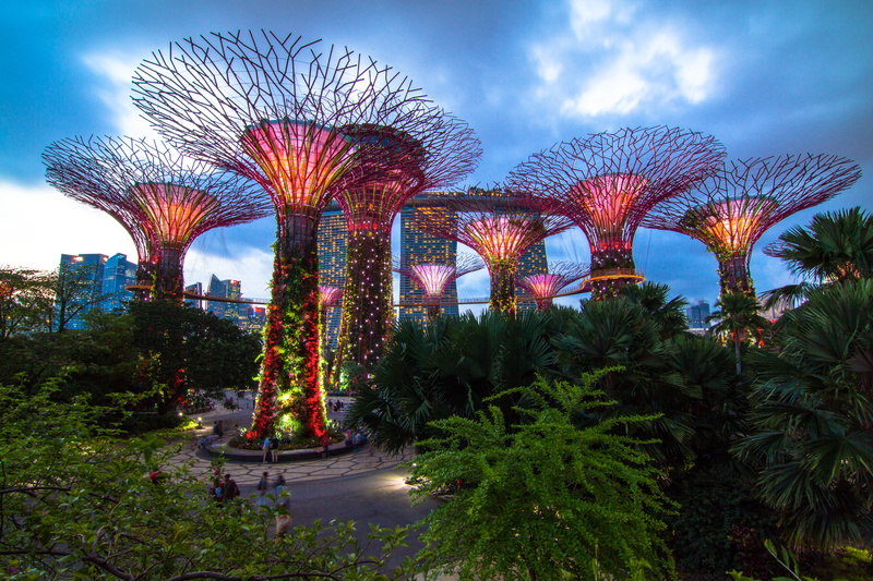 nature, built structure, no people, lights, cloud - sky, tree, illuminated, travel destinations, plant, dusk, green, outdoors, 5K, tropical climate, transportation
