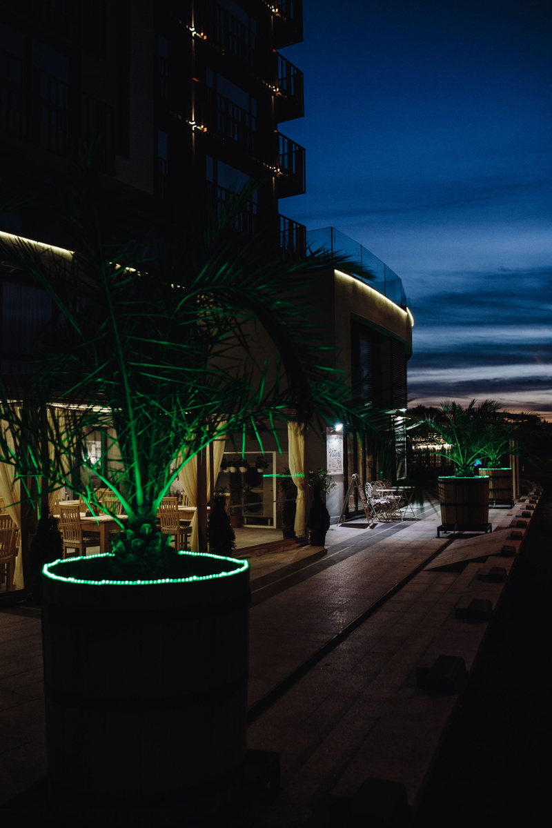leaves, 5K, sky, illumination, abstract, outdoors, palm, green, building exterior, night, palm tree, color, building, swimming pool, water, trees, nature
