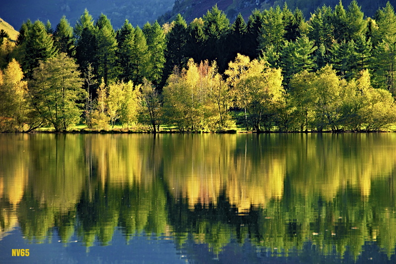 body, sky, autumn, body of water, scenics, tranquil Scene, green Color, 1080P, near, nature, landscape, pentax  K5, tree, lake, ligne, forest, trees, summer