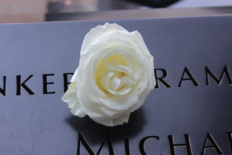 freshness, dom, nature, inflorescence, remember, tower, america, petal, beauty in nature, 911, positive emotion, memorial, flower, celebration, rose - flower