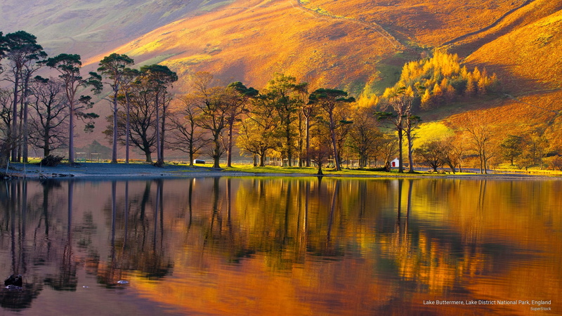 Fall, district, lake, buttermere, park, national, england, 2K