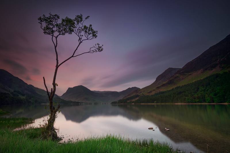 beside, lake, colour, dawn, samsung, Lone Tree, 5K, Buttermere, lone  tree, lone, tree, tall, jones, lake  district, cumbria, long  exposure