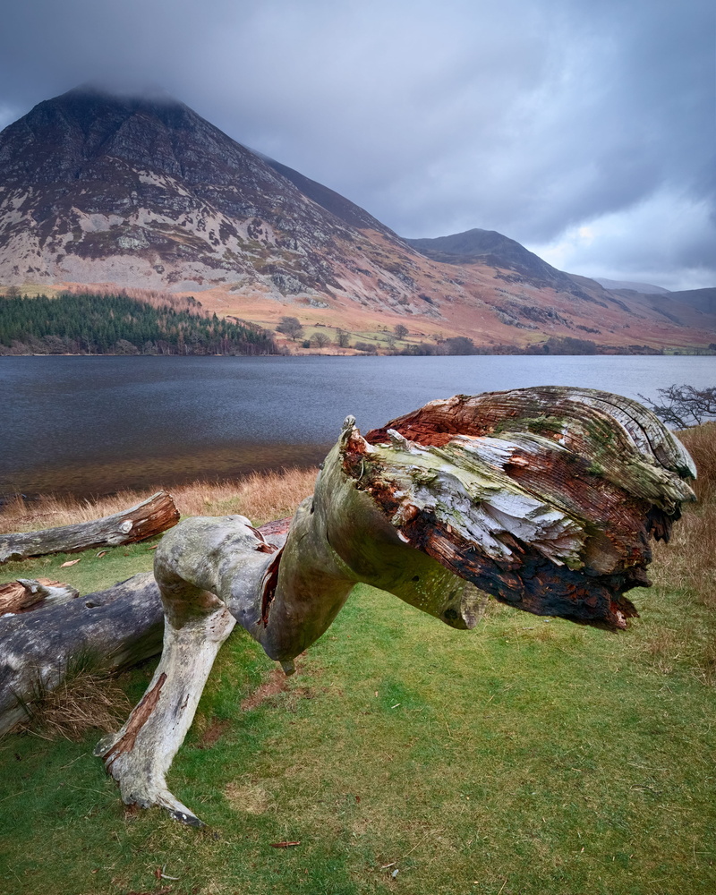 no people, tranquil scene, 4K, shore, landscape, scenics - nature, crummock water, uk, england, britain, plant, lake, buttermere, tranquility, tree, mountain