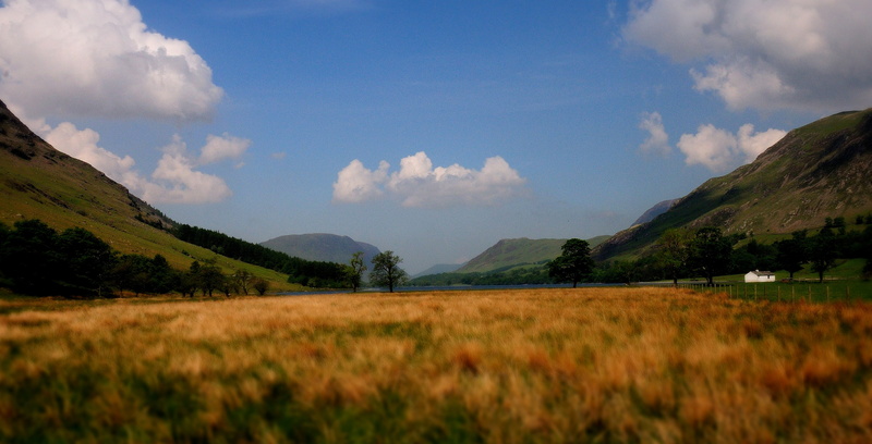 brown, grass  Lake, hill, Lake  district, grass, rural Scene, scenics, photo, outdoors, field, summer, meadow, landscape, sky, covered, 4K, Buttermere
