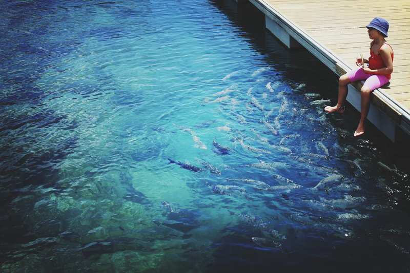 fish, lifestyles, transportation, antigua, trip, spain, fuerteventura, canary islands, holiday, real people, day, mar, 5K, water, sitting, adult, waterfront