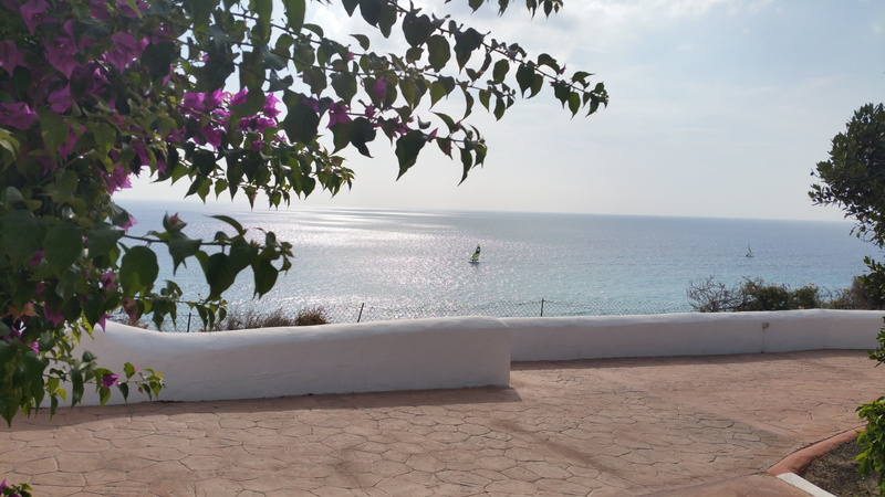 sun, plant, dream views, horizon, summer, architecture, sail, water, flowering plant, holiday, strandweg, spain, beach, 5K, ship, flower, sea, promenade