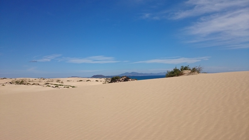 outdoors, sand dune, non-urban scene, cloud - sky, corralejo, travel, land, desert, arid climate, environment, climate, scenics - nature, the olive, sky