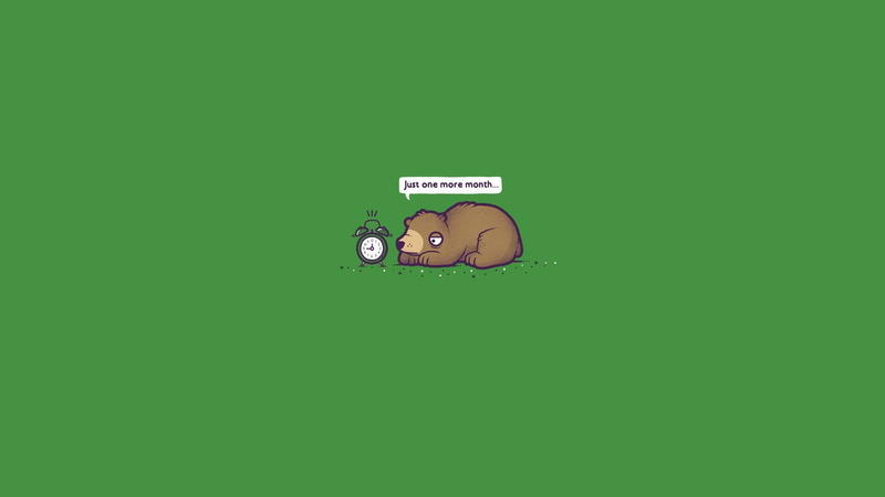 equipment, colored background, time, bear, close-up, humor, copy space, bears, clock, no people, connection, wall - building feature, alarm, representation