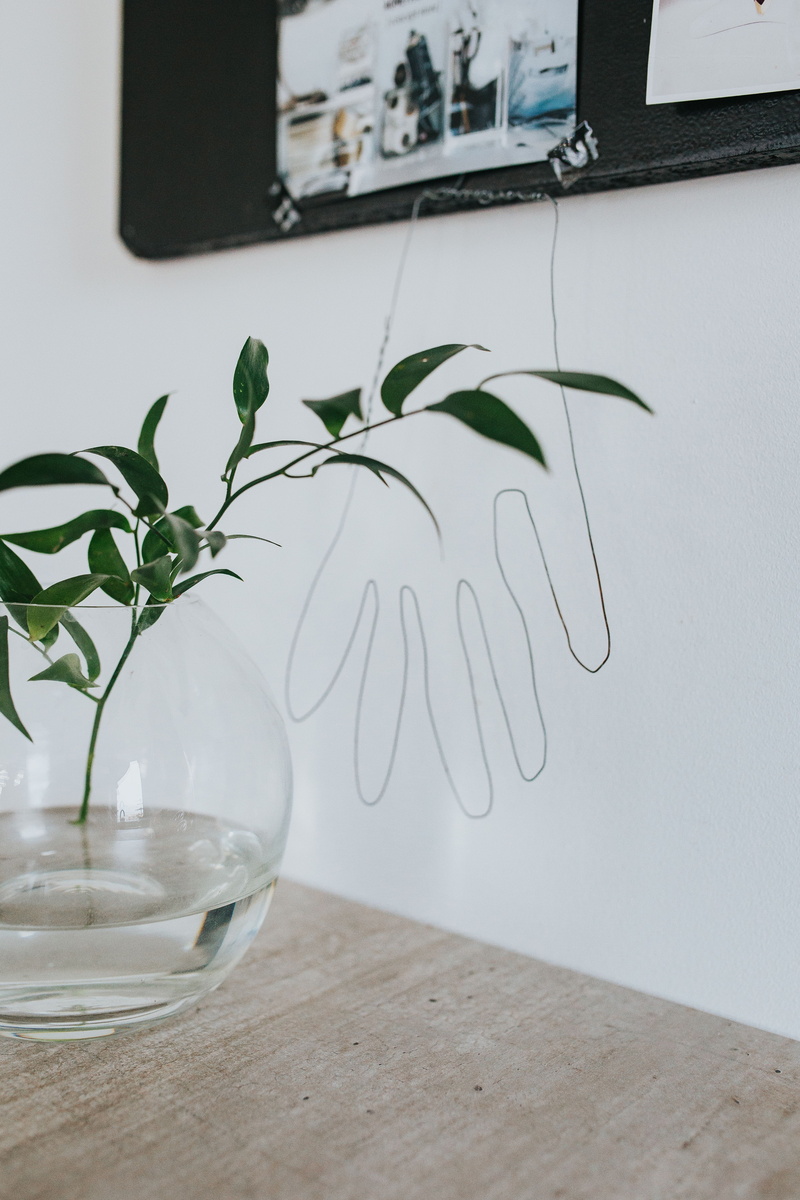 green plants, home, green, decoration, pot, communication, plant part, drinking glass, growth, Home decor, close-up, water, wall - Building Feature, domestic Room