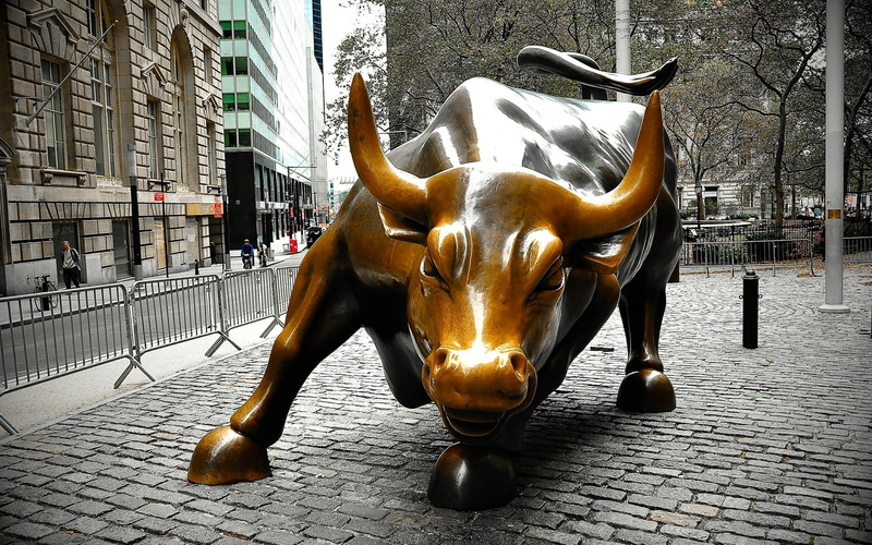 new, bull, charging, york, 1080P