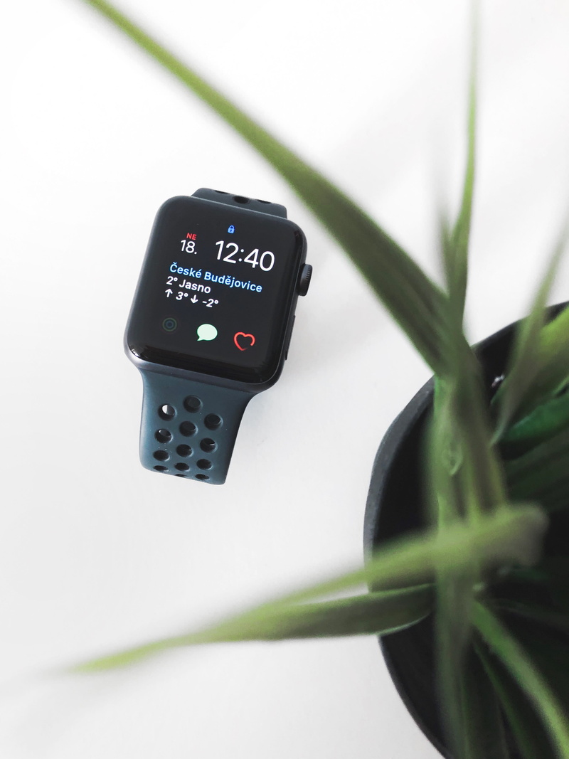leaves, white, green color, gear, plant, wireless technology, electronics, case, time, close-up, no people, number, space, health, clock, communication