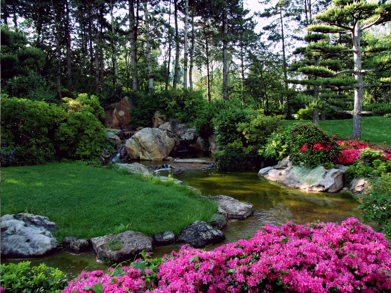 woodland, 2K, no people, spring, tranquil scene, green color, landscape, stream - flowing water, park, pink, flowing water, tree, tranquility, plant, flowing