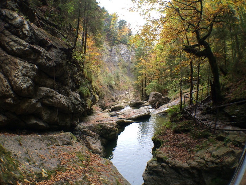 non-urban scene, scenics - nature, rock formation, tranquility, rock, woodland, land, Bach, stream - flowing water, flowing, nature, scenics, flowing water