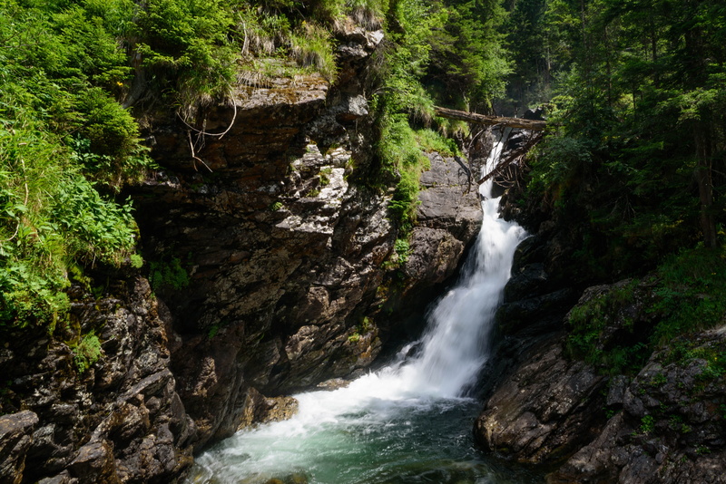 racing, outdoors, beauty in nature, flowing, no people, waters, river, 5K, motion, land, forest, cold, Bach, murmur, water running, waterfalls, rock - object