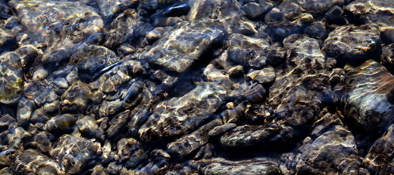 group of animals, geology, pebbles, pebble, bank, outdoors, gray, no people, rock - object, animal wildlife, sea, nature, background, river, marine, full frame
