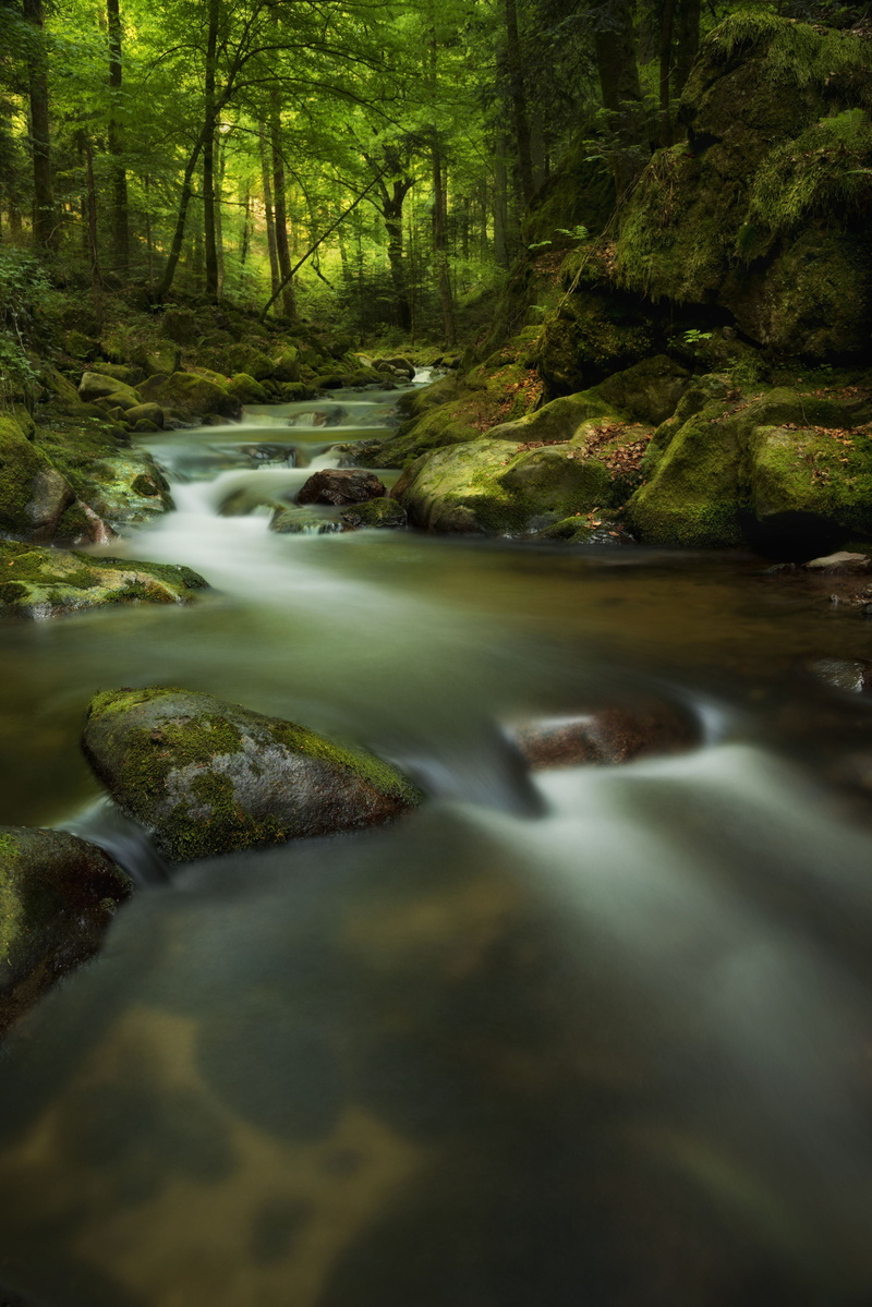 flowing, river, outdoors, Baden  Baden, Baden-Württemberg, Beauty, daytime, flowing Water, freshness, cascades, forest, clean  clear, inside, scenics, 4K