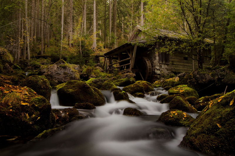Wasser, old, autumn, Wasserfall, lee, Salzburg, Österreich, longexposure, woodland, outdoors, daytime, moss, stream, lapse, scenics, forest, Outdoor, waterfall