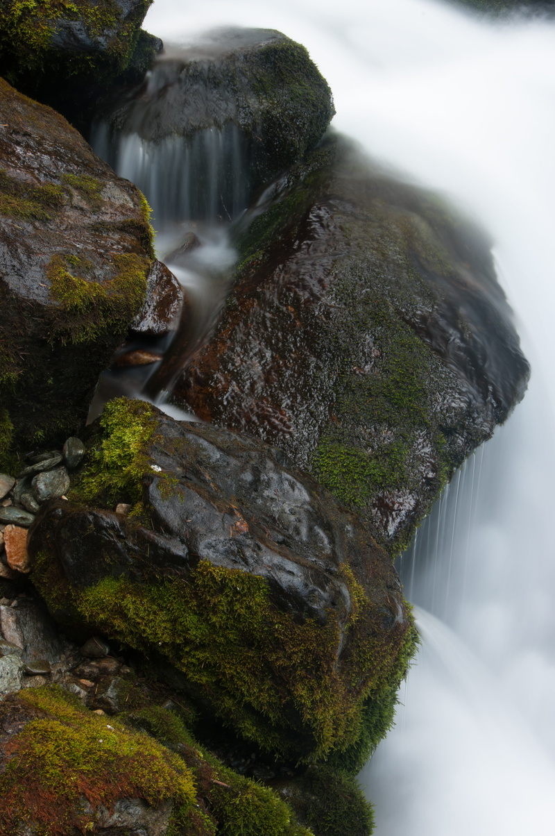 water, tranquil scene, power in nature, blurred motion, tree, flowing water, outdoors, day, beauty in nature, rock - object, falling water, nature, plant